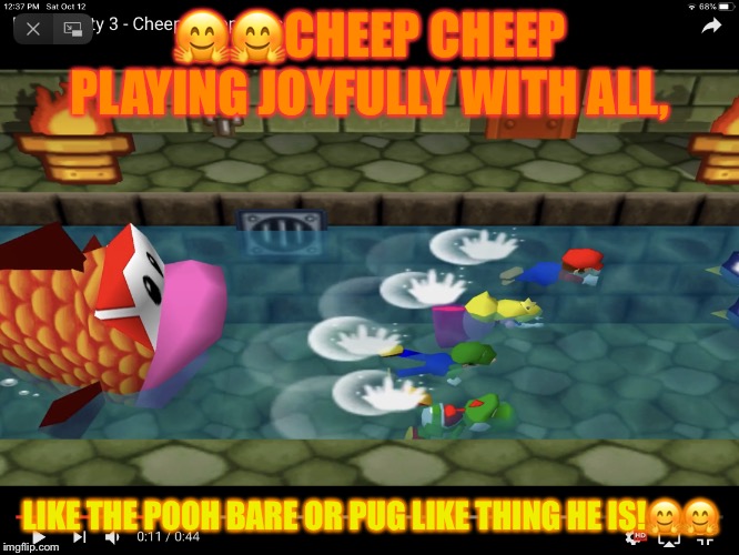 Cheep CHEEP POOH BARE!!!!!!! | 🤗🤗CHEEP CHEEP PLAYING JOYFULLY WITH ALL, LIKE THE POOH BARE OR PUG LIKE THING HE IS!🤗🤗 | image tagged in cheep cheep pooh bare | made w/ Imgflip meme maker