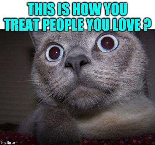 Freaky eye cat | THIS IS HOW YOU TREAT PEOPLE YOU LOVE ? | image tagged in freaky eye cat | made w/ Imgflip meme maker