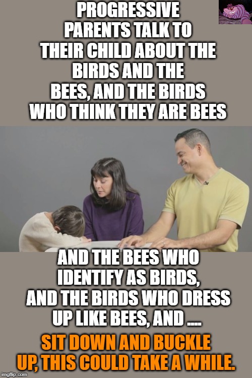 And in the end, none of it makes sense anyway. | PROGRESSIVE PARENTS TALK TO THEIR CHILD ABOUT THE BIRDS AND THE BEES, AND THE BIRDS WHO THINK THEY ARE BEES; AND THE BEES WHO IDENTIFY AS BIRDS, AND THE BIRDS WHO DRESS UP LIKE BEES, AND .... SIT DOWN AND BUCKLE UP, THIS COULD TAKE A WHILE. | image tagged in confused | made w/ Imgflip meme maker