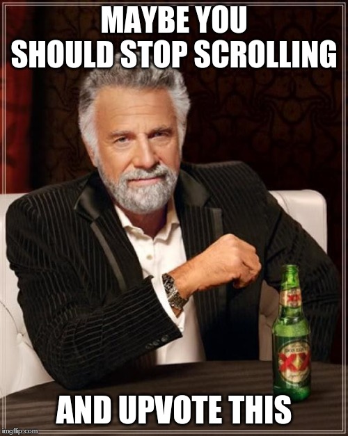 The Most Interesting Man In The World | MAYBE YOU SHOULD STOP SCROLLING; AND UPVOTE THIS | image tagged in memes,the most interesting man in the world | made w/ Imgflip meme maker