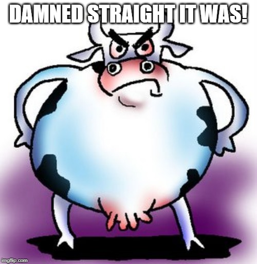 Angry mad cow | DAMNED STRAIGHT IT WAS! | image tagged in angry mad cow | made w/ Imgflip meme maker