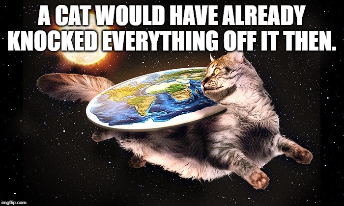 Flat Earth Cat | A CAT WOULD HAVE ALREADY KNOCKED EVERYTHING OFF IT THEN. | image tagged in flat earth cat | made w/ Imgflip meme maker