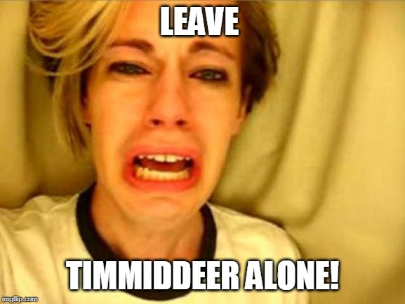 Leave Britney Alone | LEAVE TIMMIDDEER ALONE! | image tagged in leave britney alone | made w/ Imgflip meme maker