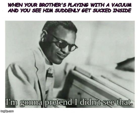 I'm gonna pretend I didn't see that | WHEN YOUR BROTHER'S PLAYING WITH A VACUUM AND YOU SEE HIM SUDDENLY GET SUCKED INSIDE | image tagged in i'm gonna pretend i didn't see that | made w/ Imgflip meme maker