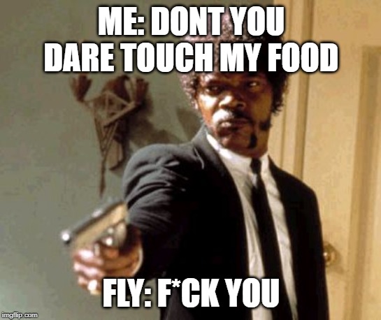 Say That Again I Dare You Meme | ME: DONT YOU DARE TOUCH MY FOOD; FLY: F*CK YOU | image tagged in memes,say that again i dare you | made w/ Imgflip meme maker