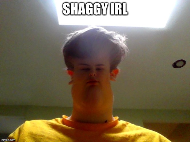 SHAGGY IRL | SHAGGY IRL | image tagged in shaggy | made w/ Imgflip meme maker