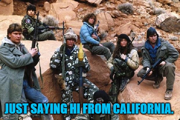 wolverines | JUST SAYING HI FROM CALIFORNIA. | image tagged in wolverines | made w/ Imgflip meme maker