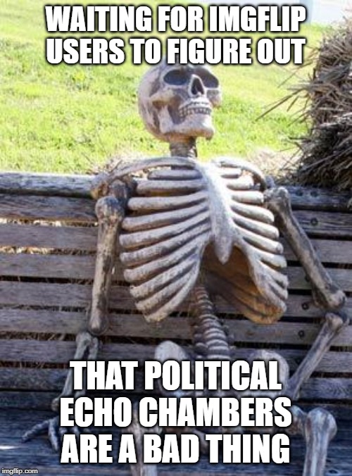 Waiting Skeleton | WAITING FOR IMGFLIP USERS TO FIGURE OUT; THAT POLITICAL ECHO CHAMBERS ARE A BAD THING | image tagged in memes,waiting skeleton | made w/ Imgflip meme maker