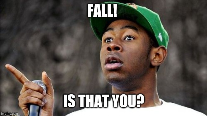 Baron Creater | FALL! IS THAT YOU? | image tagged in memes,baron creater | made w/ Imgflip meme maker