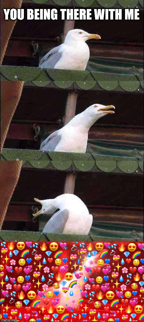 Inhaling Seagull | YOU BEING THERE WITH ME | image tagged in memes,inhaling seagull | made w/ Imgflip meme maker