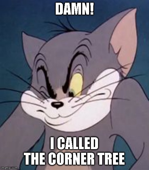 Tom cat | DAMN! I CALLED THE CORNER TREE | image tagged in tom cat | made w/ Imgflip meme maker