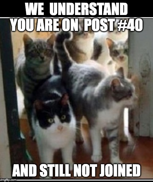 WE  UNDERSTAND YOU ARE ON  POST #40; AND STILL NOT JOINED | made w/ Imgflip meme maker