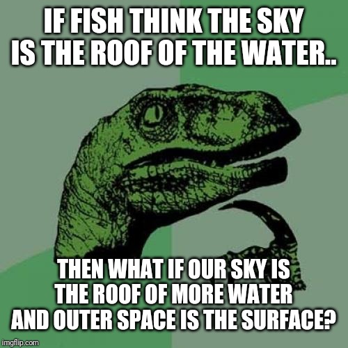 Philosoraptor Meme | IF FISH THINK THE SKY IS THE ROOF OF THE WATER.. THEN WHAT IF OUR SKY IS THE ROOF OF MORE WATER AND OUTER SPACE IS THE SURFACE? | image tagged in memes,philosoraptor | made w/ Imgflip meme maker