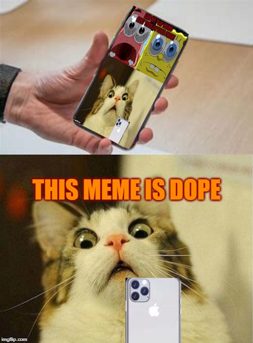 My meme is dope | THIS MEME IS DOPE | image tagged in memes,scared cat,funny | made w/ Imgflip meme maker
