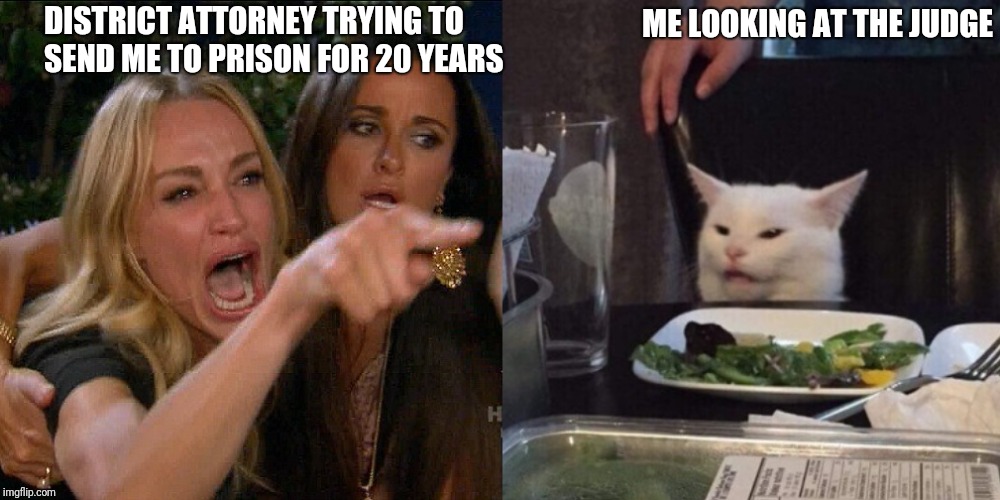 Woman yelling at cat | DISTRICT ATTORNEY TRYING TO SEND ME TO PRISON FOR 20 YEARS; ME LOOKING AT THE JUDGE | image tagged in woman yelling at cat | made w/ Imgflip meme maker