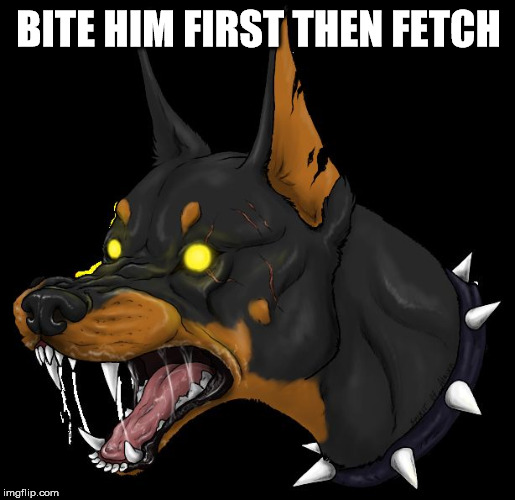 angry dog | BITE HIM FIRST THEN FETCH | image tagged in angry dog | made w/ Imgflip meme maker