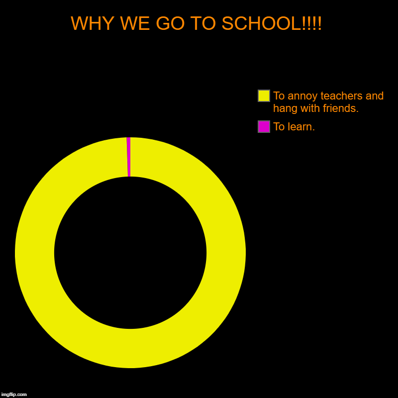 WHY WE GO TO SCHOOL!!!! | To learn., To annoy teachers and hang with friends. | image tagged in charts,donut charts | made w/ Imgflip chart maker