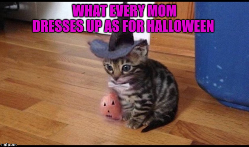Halloween cat |  WHAT EVERY MOM DRESSES UP AS FOR HALLOWEEN | image tagged in halloween cat | made w/ Imgflip meme maker