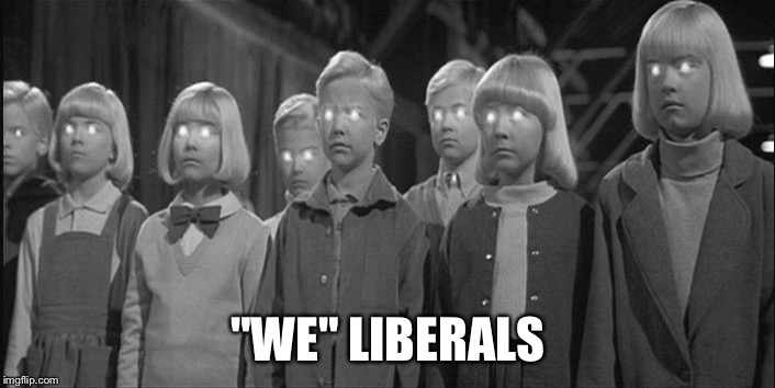 brainwashed | "WE" LIBERALS | image tagged in brainwashed | made w/ Imgflip meme maker