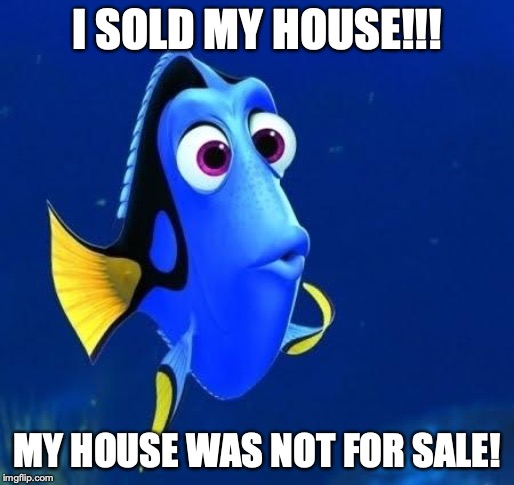 dory forgets | I SOLD MY HOUSE!!! MY HOUSE WAS NOT FOR SALE! | image tagged in dory forgets | made w/ Imgflip meme maker