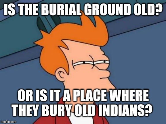 Futurama Fry Meme | IS THE BURIAL GROUND OLD? OR IS IT A PLACE WHERE THEY BURY OLD INDIANS? | image tagged in memes,futurama fry | made w/ Imgflip meme maker