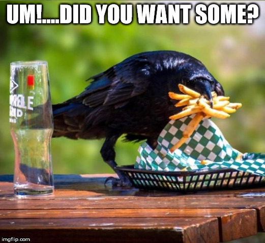 Did you want some? | UM!....DID YOU WANT SOME? | image tagged in fries,crow,hog,thief | made w/ Imgflip meme maker