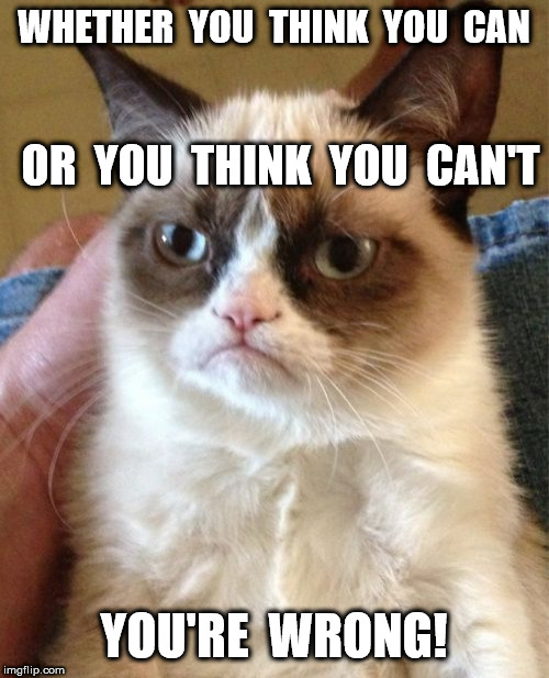 Grumpy Cat Meme | WHETHER  YOU  THINK  YOU  CAN YOU'RE  WRONG! OR  YOU  THINK  YOU  CAN'T | image tagged in memes,grumpy cat | made w/ Imgflip meme maker