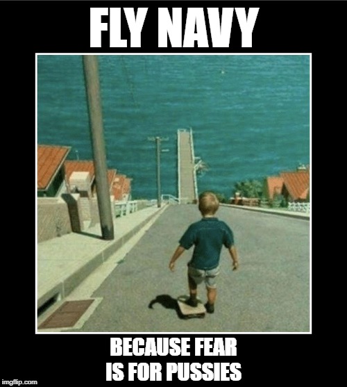 Badassery Hill Blank | FLY NAVY; BECAUSE FEAR IS FOR PUSSIES | image tagged in badassery hill blank | made w/ Imgflip meme maker