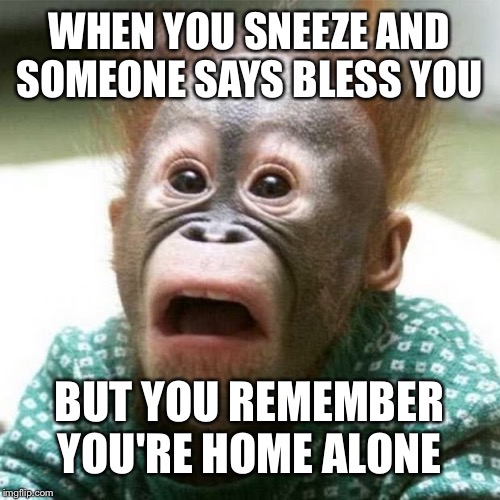 God Didn't Bless Me! | WHEN YOU SNEEZE AND SOMEONE SAYS BLESS YOU; BUT YOU REMEMBER YOU'RE HOME ALONE | image tagged in shocked monkey,oh naw,sneeze,home alone | made w/ Imgflip meme maker