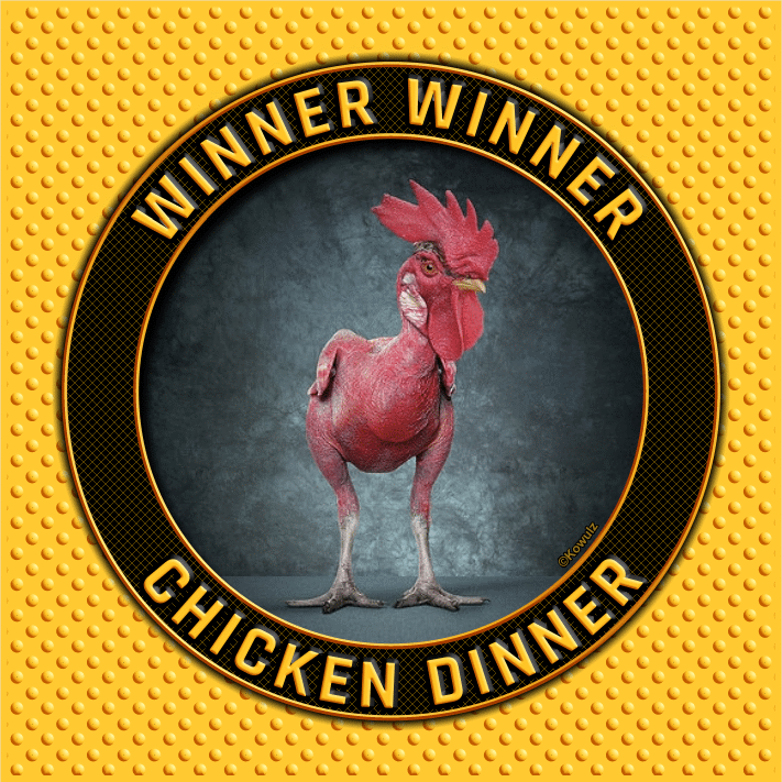 High Quality Winner Winner Chicken Dinner Blank Meme Template