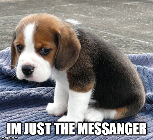 sad dog | IM JUST THE MESSANGER | image tagged in sad dog | made w/ Imgflip meme maker