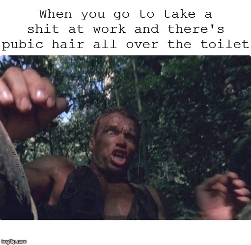 When you go to take a shit at work and there's pubic hair all over the toilet; COVELL BELLAMY III | image tagged in taking a shit at work | made w/ Imgflip meme maker
