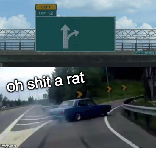 Left Exit 12 Off Ramp | oh shit a rat | image tagged in memes,left exit 12 off ramp | made w/ Imgflip meme maker