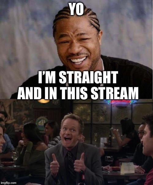 YO; I’M STRAIGHT AND IN THIS STREAM | image tagged in memes,yo dawg heard you,barney stinson win | made w/ Imgflip meme maker