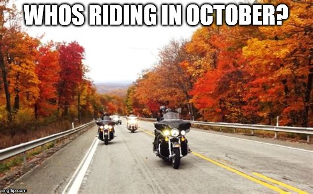 fall riding | WHOS RIDING IN OCTOBER? | image tagged in motorcycle,fall | made w/ Imgflip meme maker