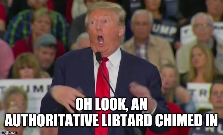 Donald Trump Mocking Disabled | OH LOOK, AN AUTHORITATIVE LIBTARD CHIMED IN | image tagged in donald trump mocking disabled | made w/ Imgflip meme maker