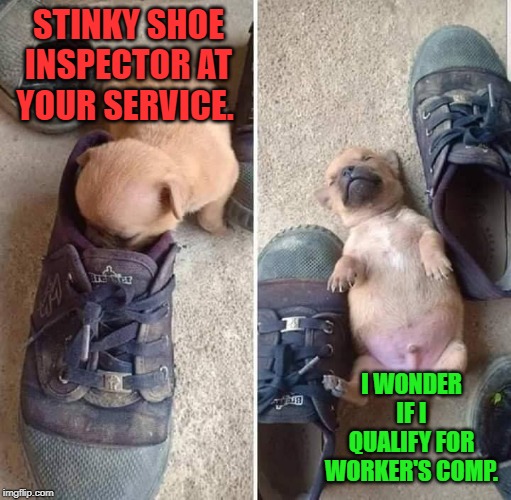 Get some odor eaters already! | STINKY SHOE INSPECTOR AT YOUR SERVICE. I WONDER IF I QUALIFY FOR WORKER'S COMP. | image tagged in nixieknox,memes,stinky shoes,you got knocked the fuggout | made w/ Imgflip meme maker