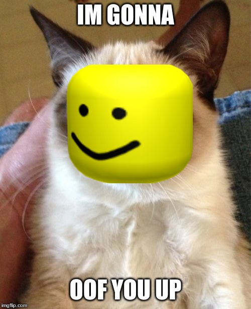 Grumpy Cat Meme | IM GONNA; OOF YOU UP | image tagged in memes,grumpy cat | made w/ Imgflip meme maker