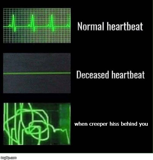 normal heartbeat deceased heartbeat | when creeper hiss behind you | image tagged in normal heartbeat deceased heartbeat | made w/ Imgflip meme maker