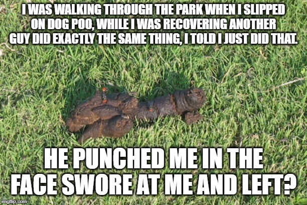 dog poop | I WAS WALKING THROUGH THE PARK WHEN I SLIPPED ON DOG POO, WHILE I WAS RECOVERING ANOTHER GUY DID EXACTLY THE SAME THING, I TOLD I JUST DID THAT. HE PUNCHED ME IN THE FACE SWORE AT ME AND LEFT? | image tagged in dog poop | made w/ Imgflip meme maker