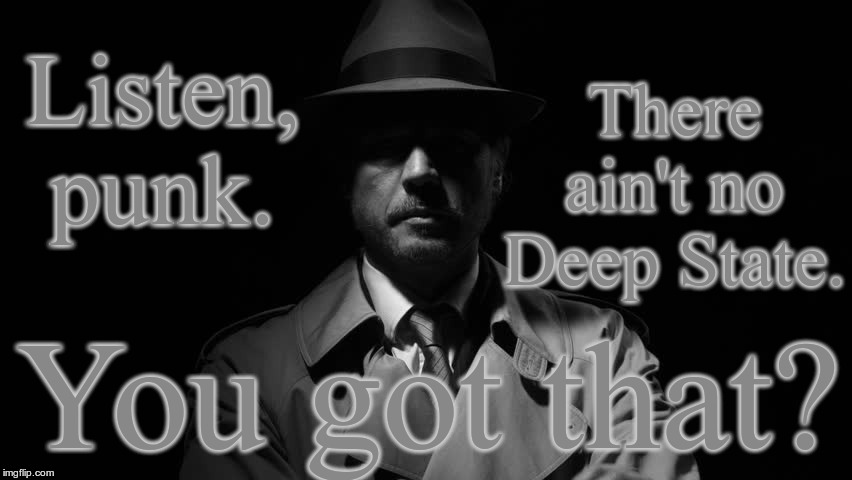 Listen Punk. There ain't no Deep State.  You got that? | Listen, punk. There ain't no Deep State. You got that? | image tagged in politics,deep state,shadows,secret,propaganda | made w/ Imgflip meme maker