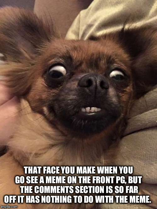Even worse when somone else is looking over your shoulder | THAT FACE YOU MAKE WHEN YOU GO SEE A MEME ON THE FRONT PG, BUT THE COMMENTS SECTION IS SO FAR OFF IT HAS NOTHING TO DO WITH THE MEME. | image tagged in wtf,comments,surprised,front page | made w/ Imgflip meme maker
