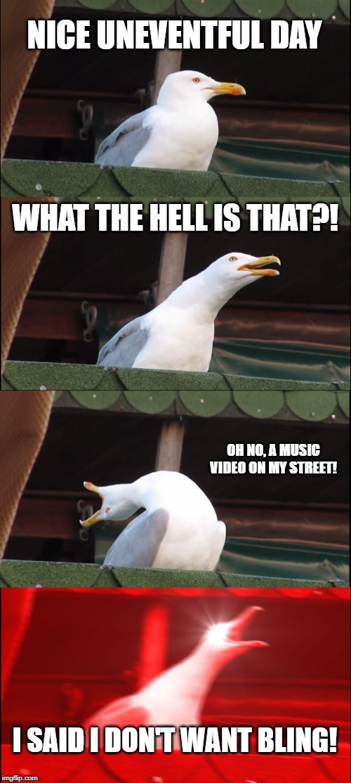 Inhaling Seagull Meme | NICE UNEVENTFUL DAY; WHAT THE HELL IS THAT?! OH NO, A MUSIC VIDEO ON MY STREET! I SAID I DON'T WANT BLING! | image tagged in memes,inhaling seagull | made w/ Imgflip meme maker