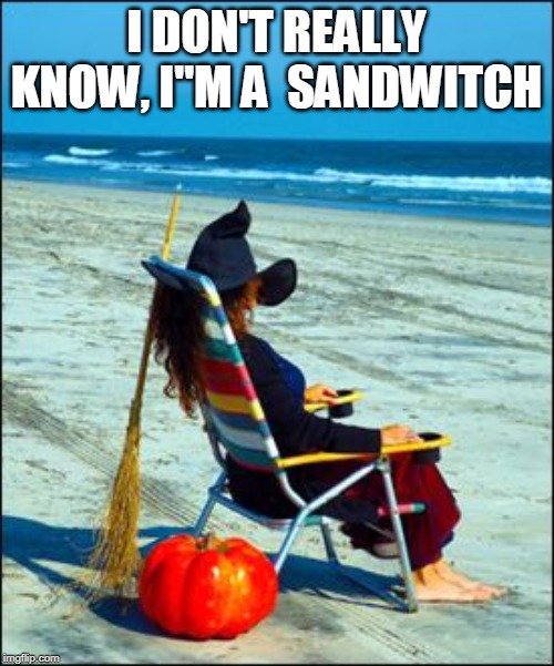 I DON'T REALLY KNOW, I''M A  SANDWITCH | made w/ Imgflip meme maker