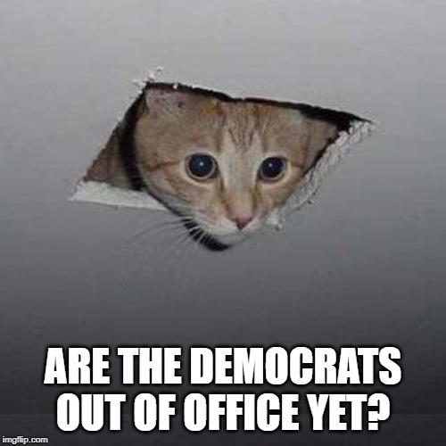 Ceiling Cat Meme | ARE THE DEMOCRATS OUT OF OFFICE YET? | image tagged in memes,ceiling cat | made w/ Imgflip meme maker