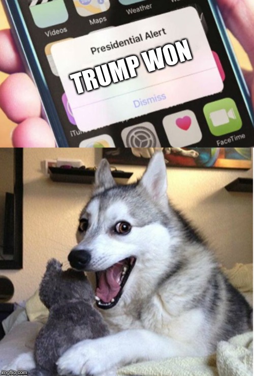  TRUMP WON | image tagged in memes,presidential alert | made w/ Imgflip meme maker