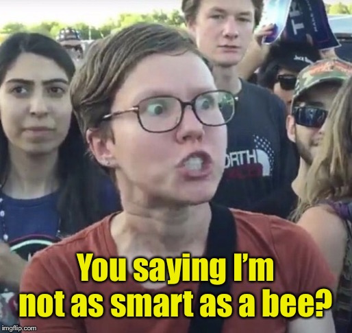 Triggered feminist | You saying I’m not as smart as a bee? | image tagged in triggered feminist | made w/ Imgflip meme maker