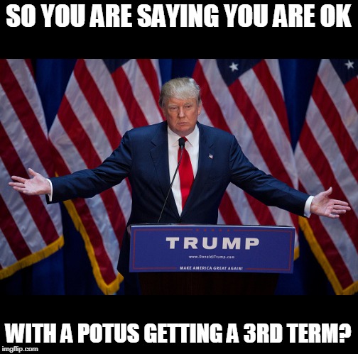 Donald Trump | SO YOU ARE SAYING YOU ARE OK WITH A POTUS GETTING A 3RD TERM? | image tagged in donald trump | made w/ Imgflip meme maker