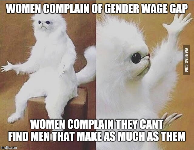 Confused white monkey | WOMEN COMPLAIN OF GENDER WAGE GAP; WOMEN COMPLAIN THEY CANT FIND MEN THAT MAKE AS MUCH AS THEM | image tagged in confused white monkey | made w/ Imgflip meme maker