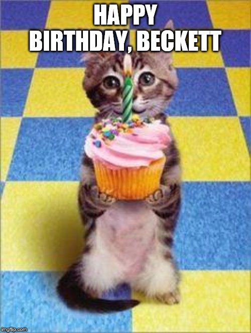 Happy Birthday Cat | HAPPY BIRTHDAY, BECKETT | image tagged in happy birthday cat | made w/ Imgflip meme maker